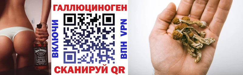 Галлюциногенные грибы ЛСД  блэк спрут сайт  Гаврилов-Ям 